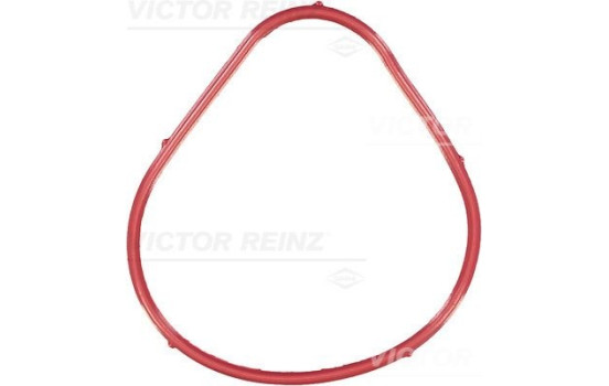 Gasket, intake manifold 71-35899-00 Viktor Reinz
