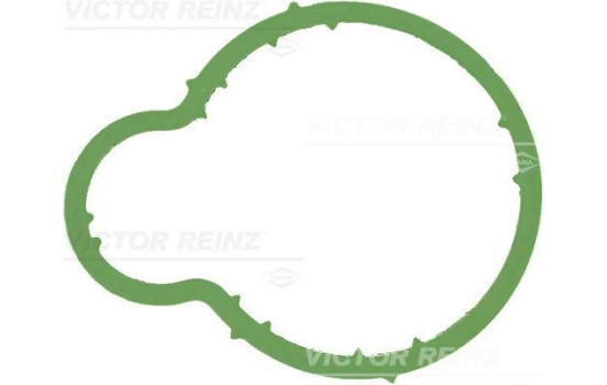 Gasket, intake manifold 71-36064-00 Viktor Reinz