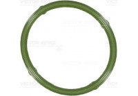Gasket, intake manifold 71-36066-00 Viktor Reinz