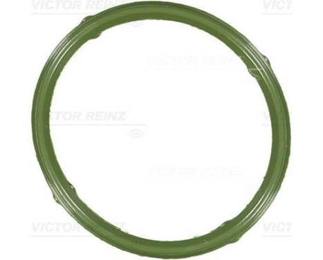 Gasket, intake manifold 71-36066-00 Viktor Reinz