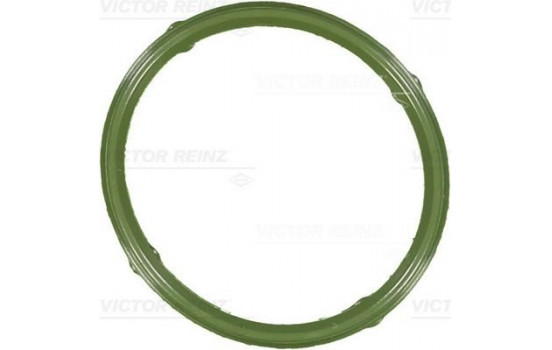 Gasket, intake manifold 71-36066-00 Viktor Reinz