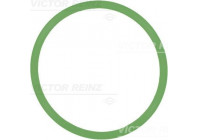 Gasket, intake manifold 71-37599-00 Viktor Reinz
