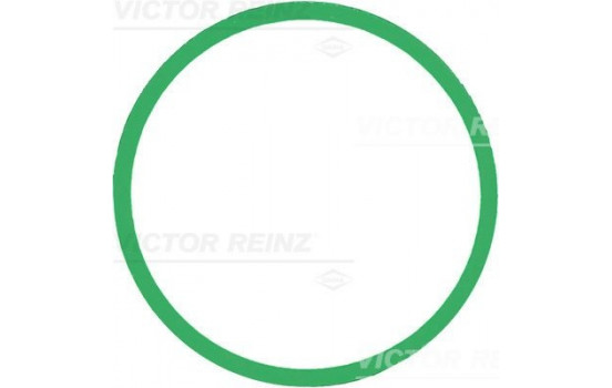 Gasket, intake manifold 71-39303-00 Viktor Reinz