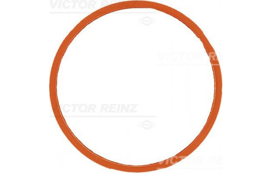 Gasket, intake manifold 71-40258-00 Viktor Reinz