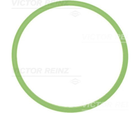 Gasket, intake manifold 71-40522-00 Viktor Reinz