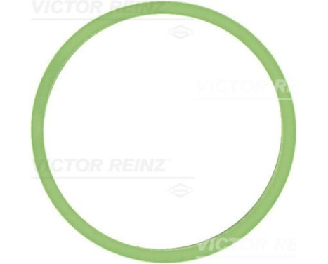 Gasket, intake manifold 71-40531-00 Viktor Reinz