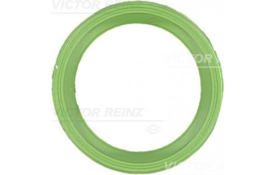 Gasket, intake manifold 71-40534-00 Viktor Reinz