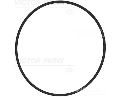 Gasket, intake manifold housing 71-17376-00 Viktor Reinz