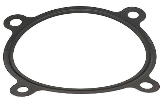 Gasket, intake manifold housing 744.020 Elring