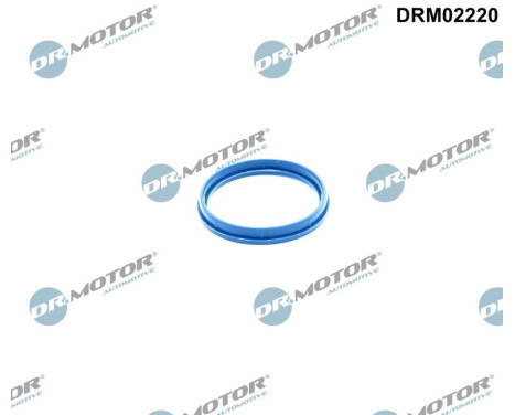 Gasket, intake manifold housing