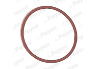 Gasket, intake manifold JD5107 Payen
