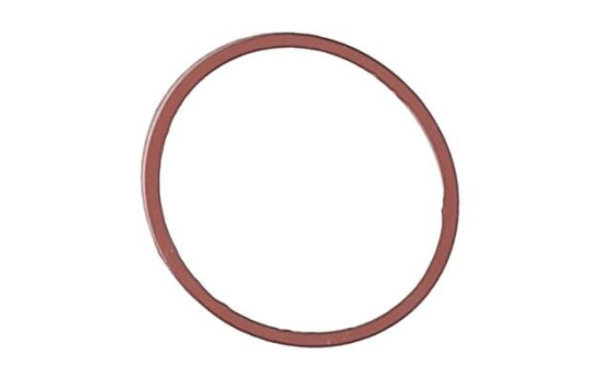 Gasket, intake manifold JD5107 Payen