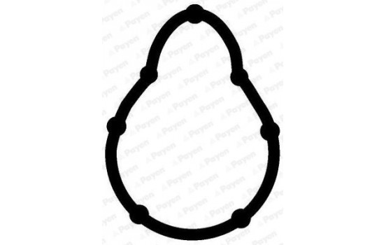 Gasket, intake manifold JD5315 Payen