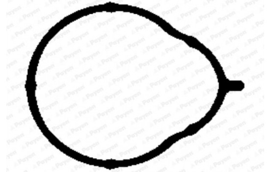 Gasket, intake manifold JD5858 Payen