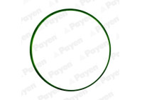 Gasket, intake manifold JD6034 Payen