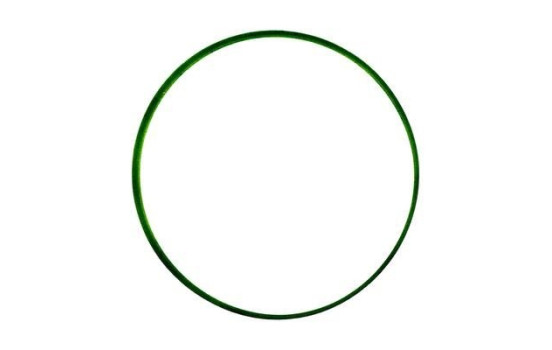 Gasket, intake manifold JD6034 Payen