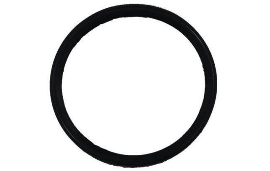 Gasket, intake manifold JD6150 Payen