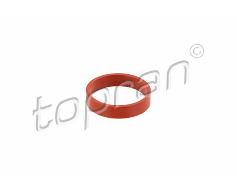 Gasket, intake manifold