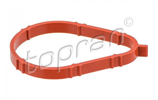 Gasket, intake manifold