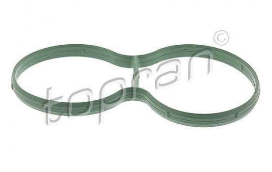 Gasket, intake manifold