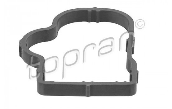 Gasket, intake manifold