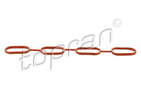 Gasket, intake manifold