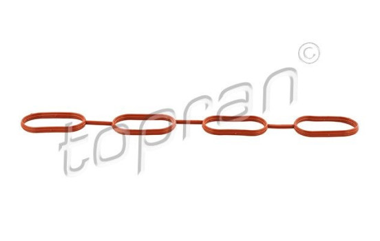 Gasket, intake manifold