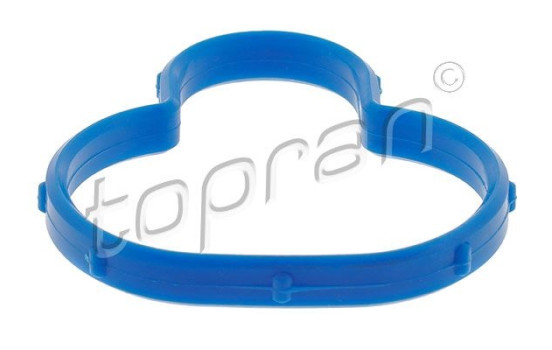 Gasket, intake manifold