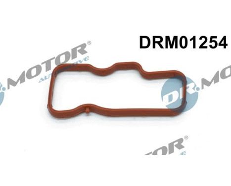 Gasket, intake manifold