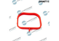 Gasket, intake manifold