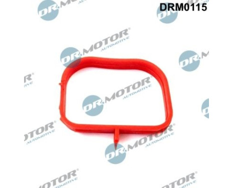 Gasket, intake manifold