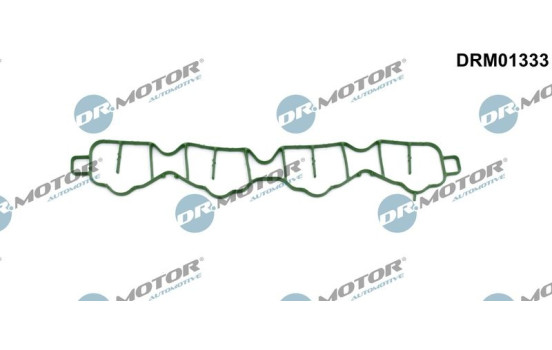 Gasket, intake manifold