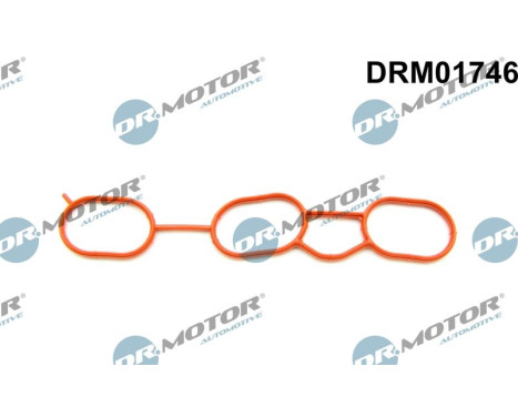 Gasket, intake manifold