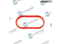 Gasket, intake manifold