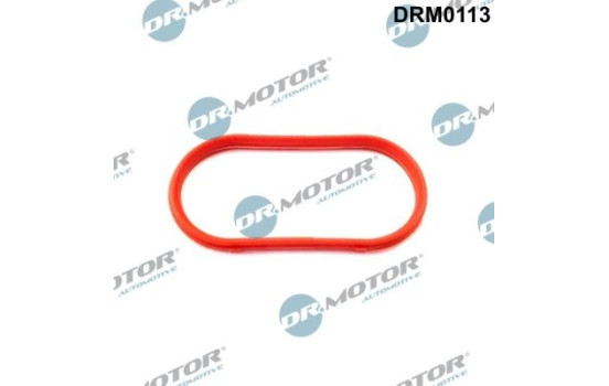 Gasket, intake manifold