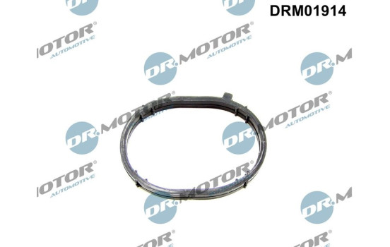 Gasket, intake manifold