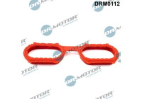 Gasket, intake manifold