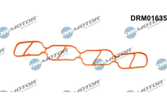 Gasket, intake manifold