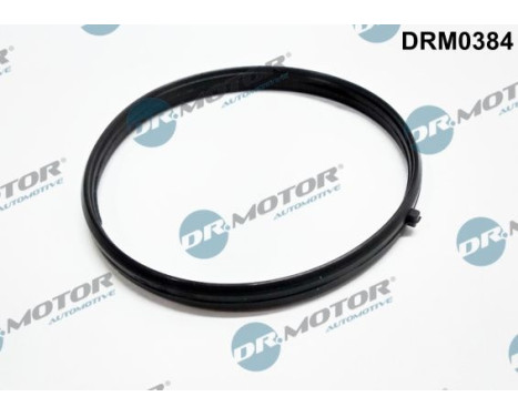 Gasket, intake manifold