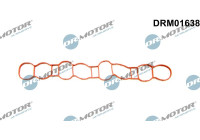 Gasket, intake manifold