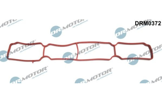 Gasket, intake manifold