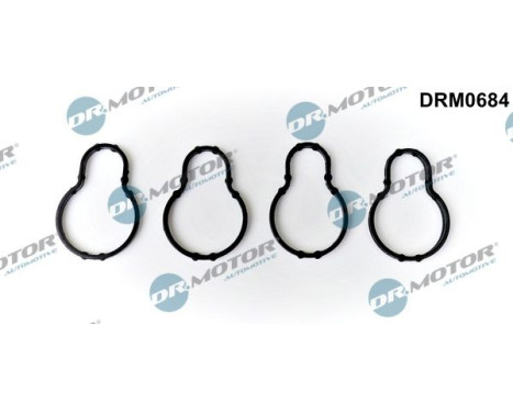 Gasket, intake manifold