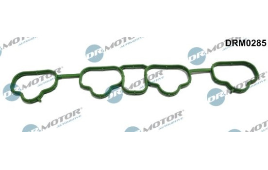 Gasket, intake manifold