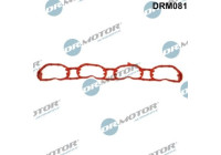 Gasket, intake manifold