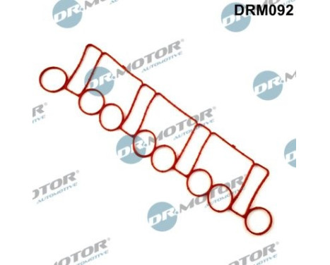 Gasket, intake manifold
