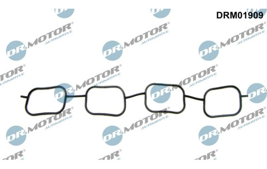 Gasket, intake manifold