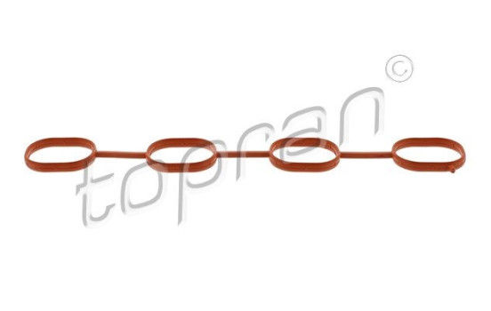 Gasket, intake manifold