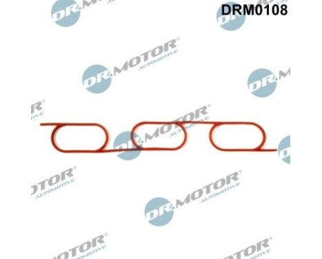 Gasket, intake manifold