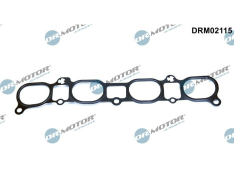 Gasket, intake manifold