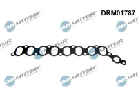 Gasket, intake manifold